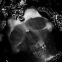 be-auty-of-the-dar-k avatar