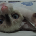 be-happy-every-day-please avatar