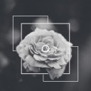 be-happy-treadlightly avatar