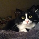 be-smaller-sooner avatar