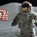 beach-house-on-the-moon avatar