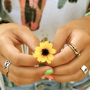 beach-to-boho avatar