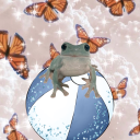 beachballtoad avatar