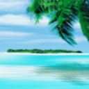 beachblogpictures avatar