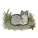 beached-kitties avatar