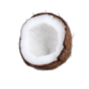 beachgirl2004 avatar