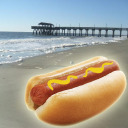 beachhotdog avatar