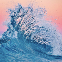 beachsunsets19 avatar