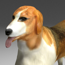 beaglegal-blog avatar