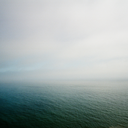 beakillerwhale avatar