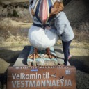 beaksiebird avatar