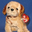 beanieboyfriend avatar