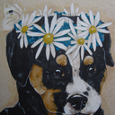 beansbearsandme-blog avatar