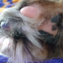 beansbutmorebeans avatar