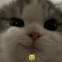 beansproutmafia avatar