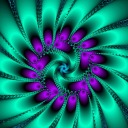 bearandthebutterfly avatar