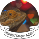 bearded-dragon-advice avatar