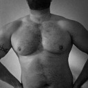 beardedbeariq avatar