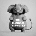 beardedelephunks-blog avatar