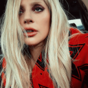 beardedkoalagardener avatar