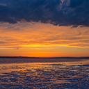 beardedmanfan avatar