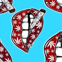 beardedmotorcycle avatar