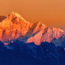 beardedoneblog avatar