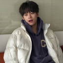 beardedtreeconnoisseur avatar