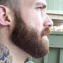 beardlover avatar