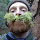 beardsandstaches avatar