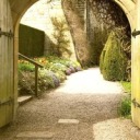 beardsleyjones avatar