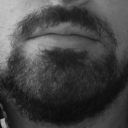 beardsogbears-blog avatar