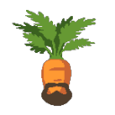 beardycarrot avatar