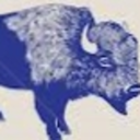 bearhidesandbuffolo avatar