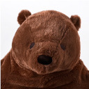 bearilyawake avatar
