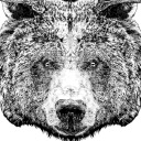 bearly-dressed avatar