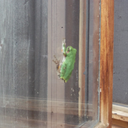 bearoldcastle avatar