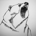 bearsohigh avatar