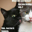 bearsrawesome007 avatar