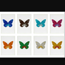 bearswithwingz-blog avatar