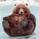 beartoebeans avatar