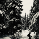 beartrice-inn-unnir avatar