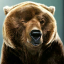 bearvenom4321-blog avatar