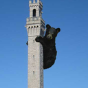 bearweekproblems avatar