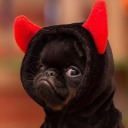 beast-and-whatever avatar