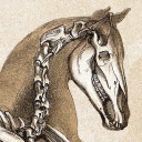 beastie-bones avatar