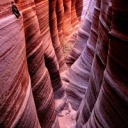 beating-of-your-heart avatar