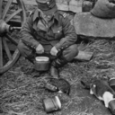 beatles-are-love avatar