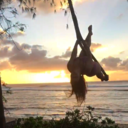 beatlesfanatic avatar