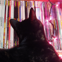 beatnikmothman avatar